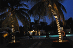 Ramada By Wyndham Katunayake Colombo International Airport Colombo thumbnail photographs